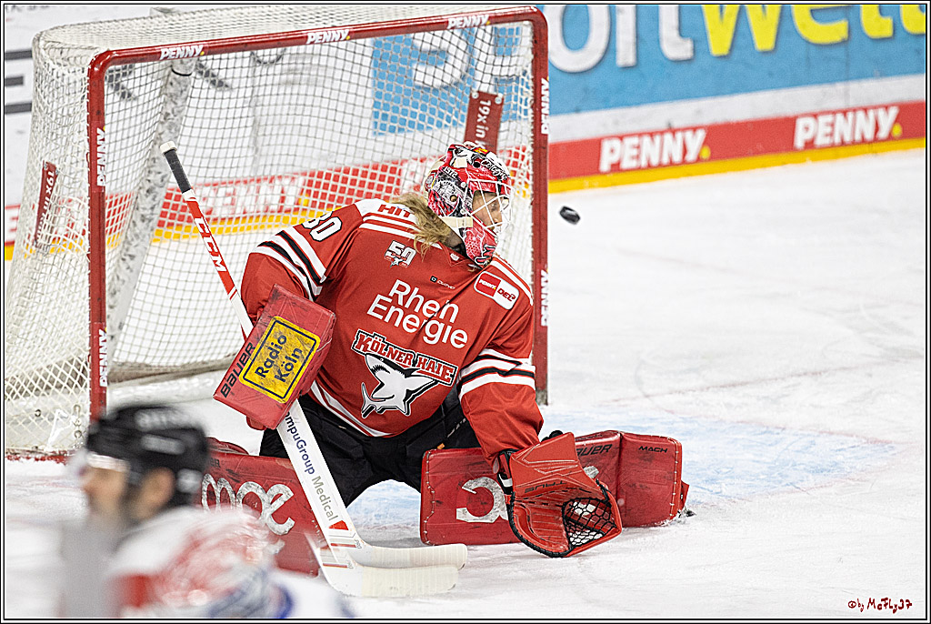 PENNY DEL;  Koelner Haie - Schwenninger Wild Wings; Koeln, 18.01.2023